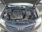 2008 Toyota Camry Le en Venta en Arlington, WA - Minor Dent/Scratches