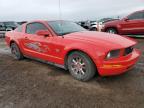 2009 Ford Mustang  for Sale in Brighton, CO - Minor Dent/Scratches