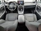 2019 TOYOTA RAV4 LE   for sale at Copart NJ - TRENTON