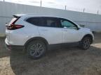2020 HONDA CR-V EXL à vendre chez Copart AB - EDMONTON