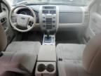 2010 Ford Escape Xlt   for Sale in Elgin, IL - Rear End