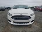 2016 Ford Fusion Titanium for Sale in Lumberton, NC - Front End