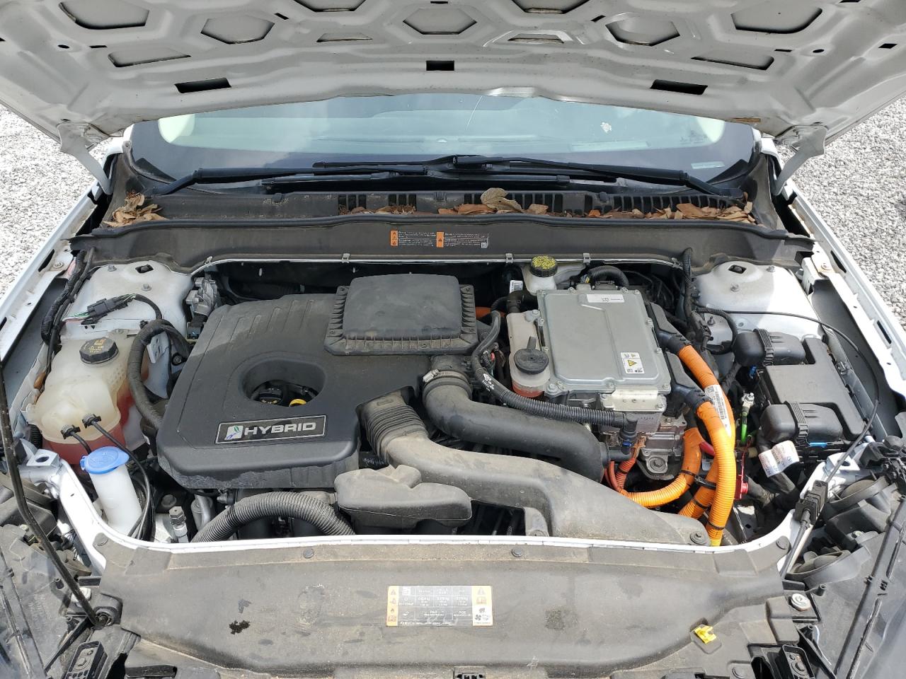 2019 Ford Fusion Se VIN: 3FA6P0LU8KR263978 Lot: 54023835