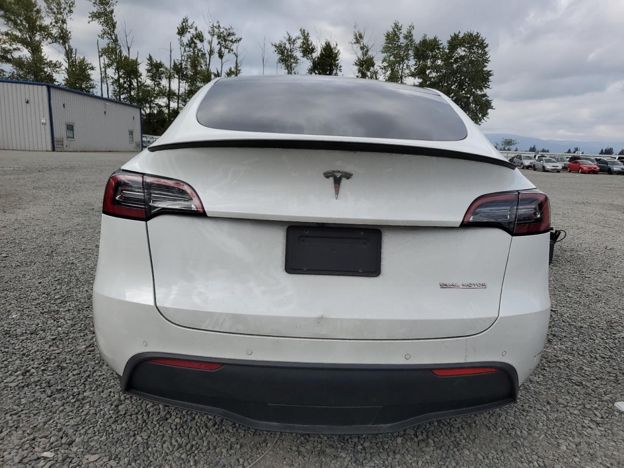 2021 Tesla Model Y VIN: 5YJYGDEFXMF209739 Lot: 56682785