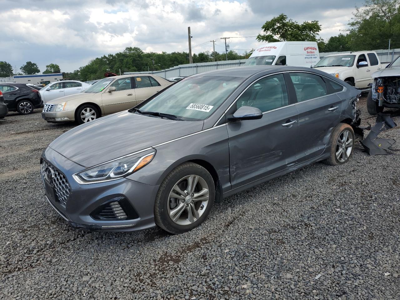 2019 Hyundai Sonata Limited продається в Hillsborough, NJ - Rear End