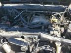 2001 Nissan Xterra Xe for Sale in Albuquerque, NM - Front End
