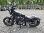 2014 Harley-Davidson Xl883 Iron 883 for Sale in Baltimore, MD - Side