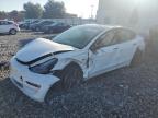 2021 Tesla Model 3  for Sale in Apopka, FL - All Over