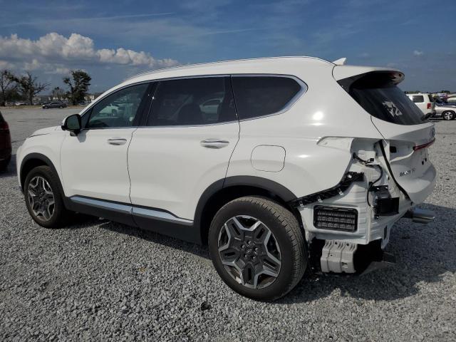  HYUNDAI SANTA FE 2023 White