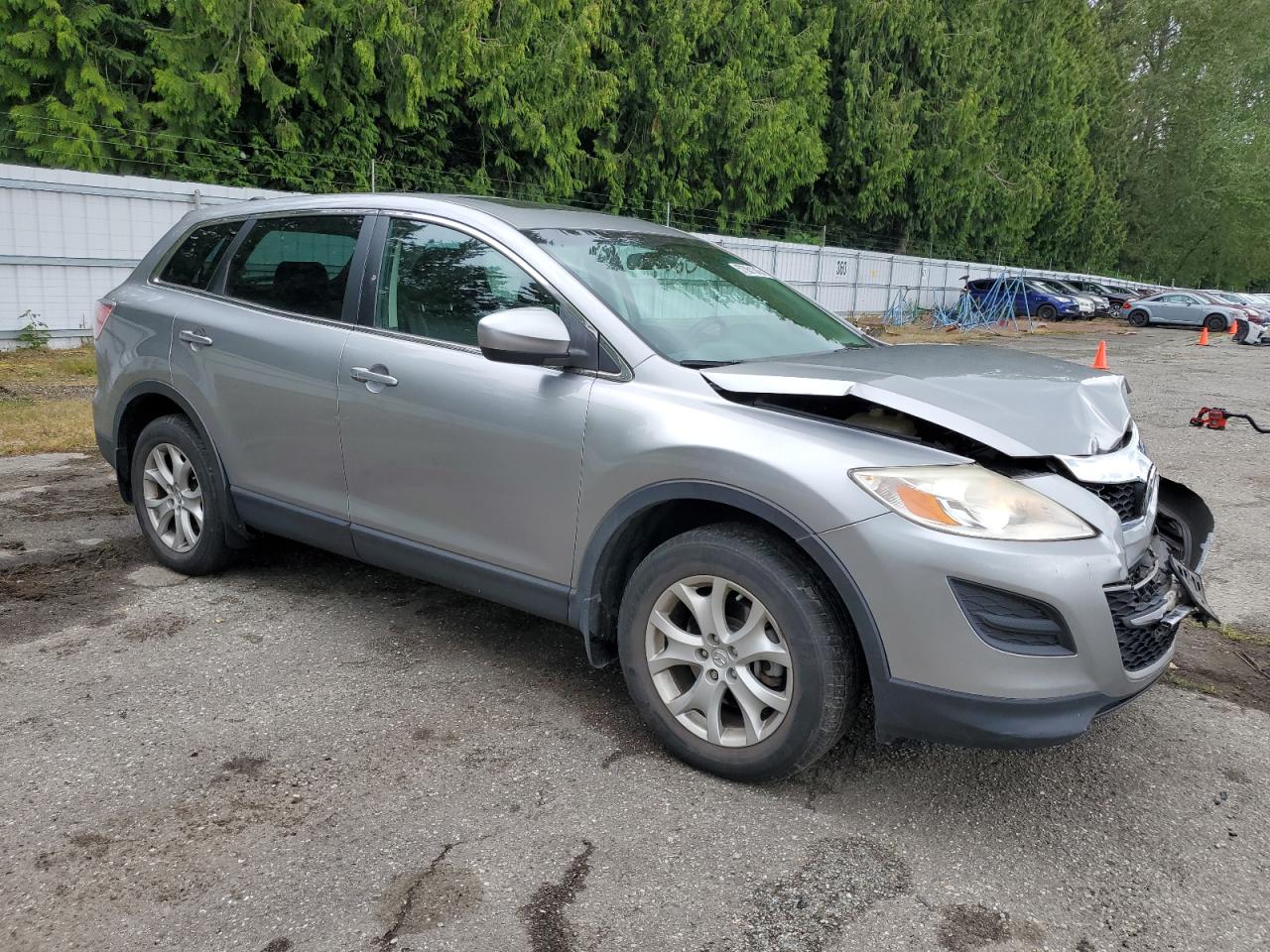 2011 Mazda Cx-9 VIN: JM3TB3CV7B0326839 Lot: 57061345