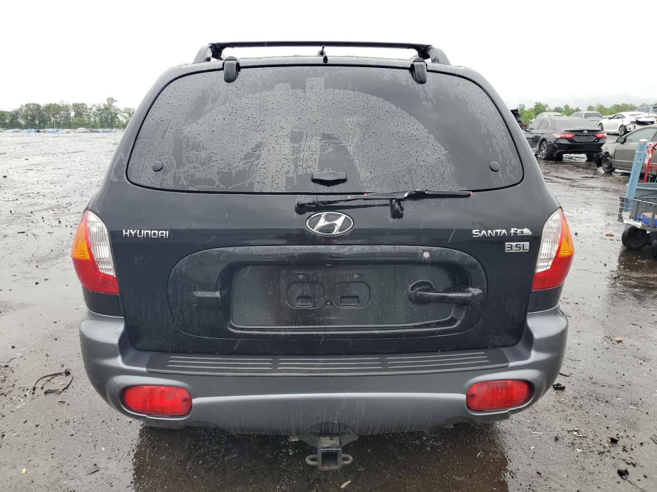2004 Hyundai Santa Fe Gls VIN: KM8SC13E14U721273 Lot: 56374925