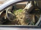 2003 Nissan Maxima Gle на продаже в Spartanburg, SC - Water/Flood