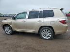 2009 Toyota Highlander Hybrid   na sprzedaż w London, ON - Front End