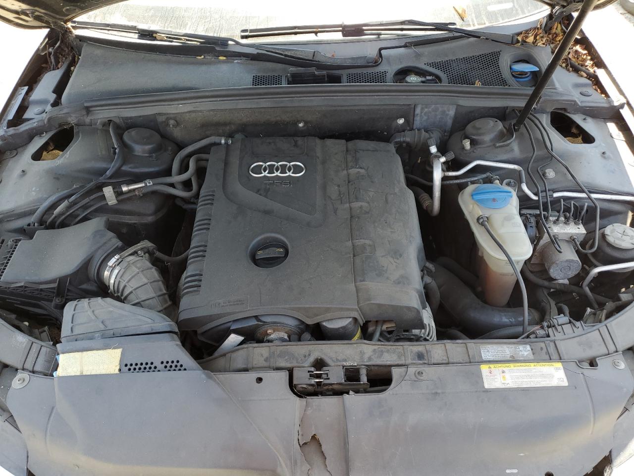 2010 Audi A4 Premium Plus VIN: WAUEFAFL4AN034116 Lot: 56788975