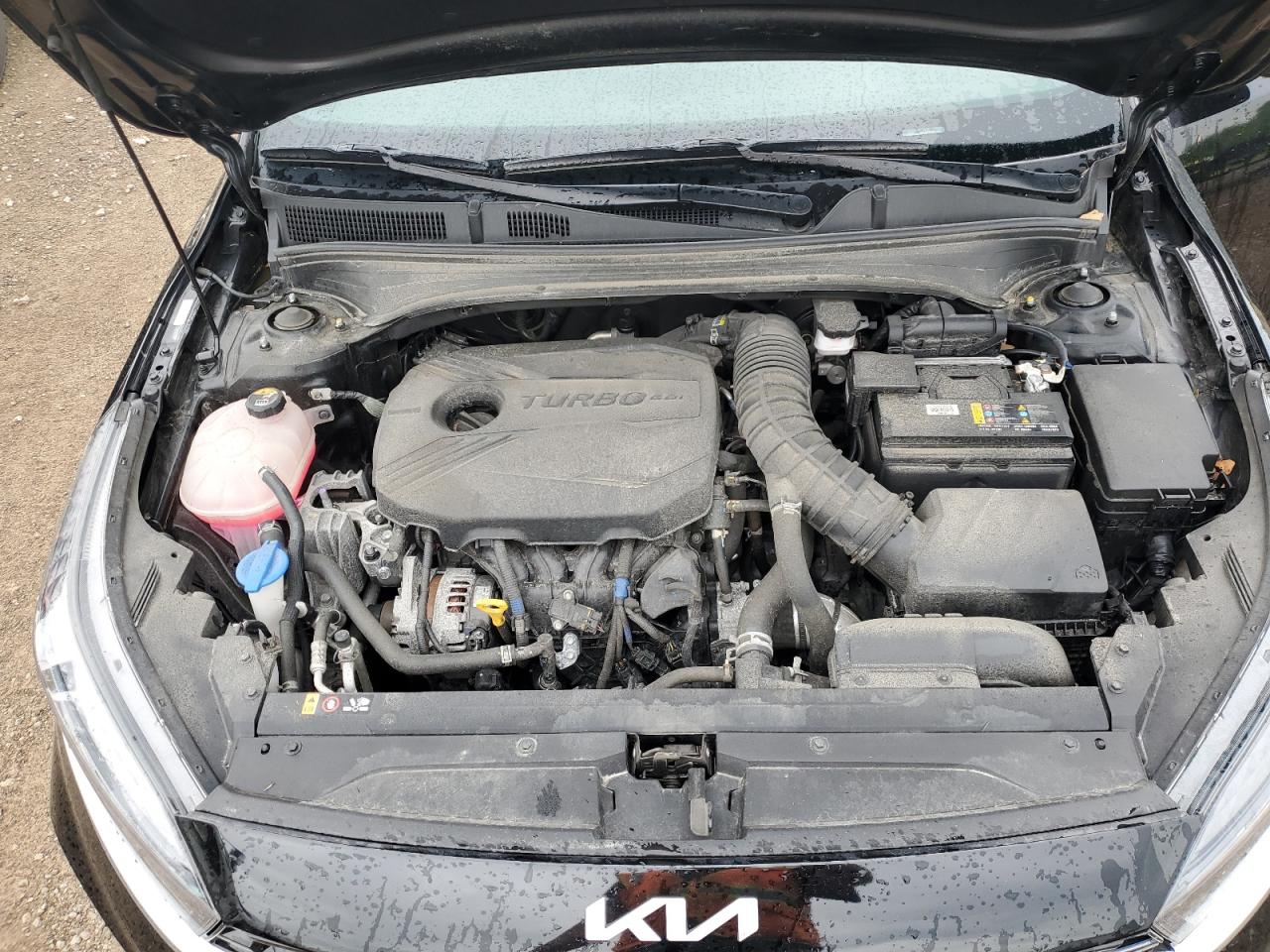2023 Kia Forte Gt VIN: 3KPF44AC3PE583518 Lot: 56949675