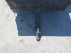 2000 UK UNKNOWN for sale at Copart CHESTER