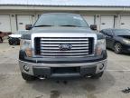 2012 Ford F150 Super Cab na sprzedaż w Louisville, KY - Hail