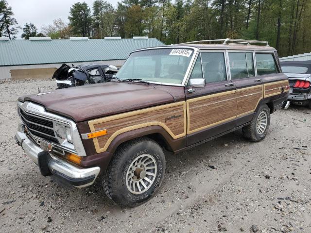 1990 Jeep Grand Wagoneer 