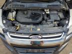 2014 Ford Escape Titanium for Sale in Colorado Springs, CO - Hail