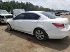 2010 Honda Accord Ex for Sale in Greenwell Springs, LA - Front End