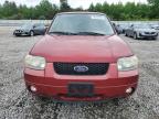 2007 Ford Escape Limited en Venta en Memphis, TN - Minor Dent/Scratches