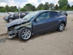 2023 Tesla Model Y    na sprzedaż w Elgin, IL - All Over