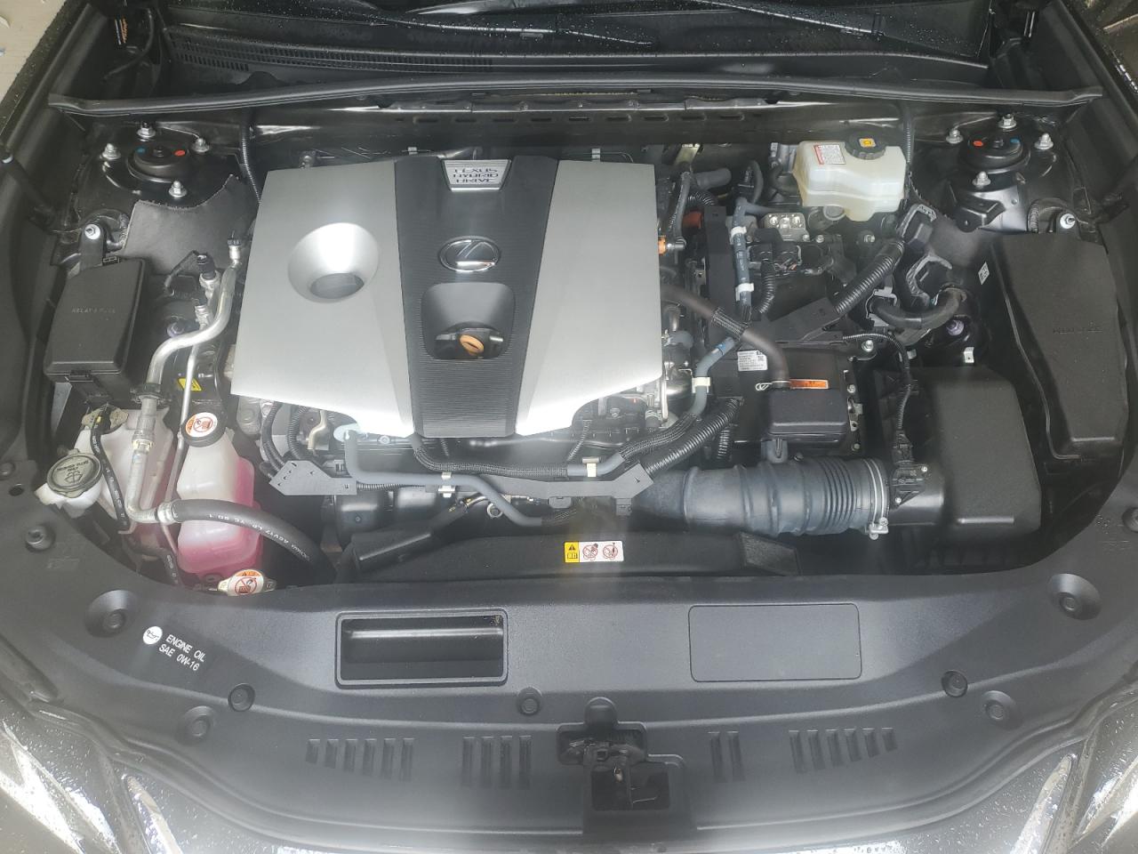 2020 Lexus Es 300H Luxury VIN: 58AE21B11LU009383 Lot: 56388655