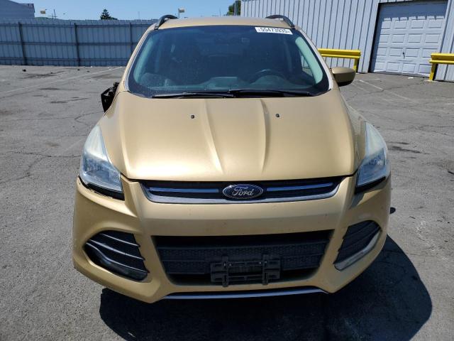  FORD ESCAPE 2014 Złoty