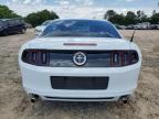 2014 Ford Mustang  for Sale in China Grove, NC - Rear End