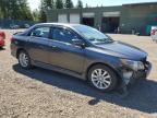 2010 Toyota Corolla Base იყიდება Graham-ში, WA - Front End