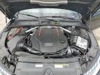 2023 Audi S4 Premium Plus for Sale in Louisville, KY - All Over