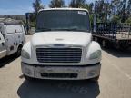 2013 Freightliner M2 106 Medium Duty продається в Van Nuys, CA - Minor Dent/Scratches