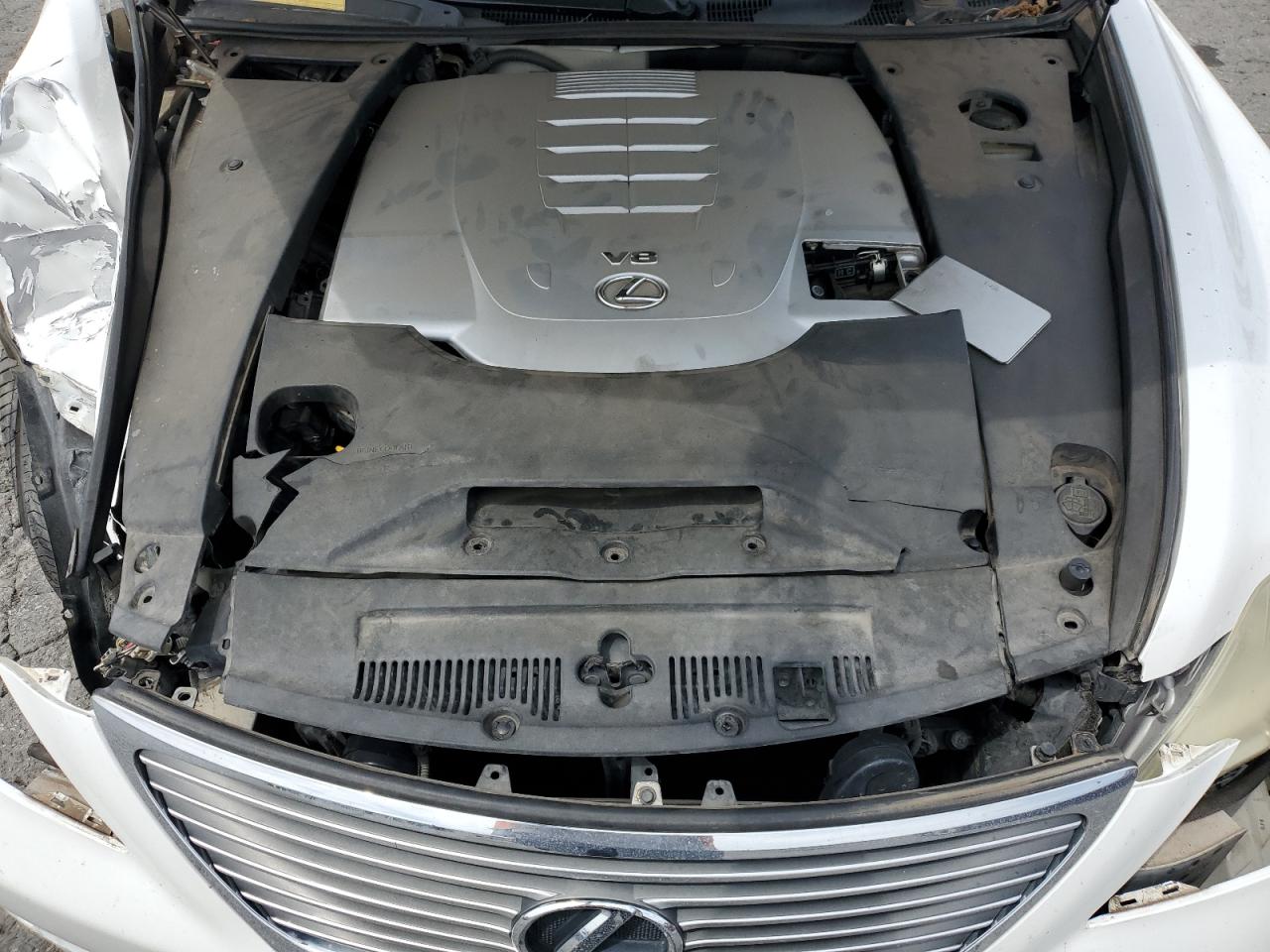 2009 Lexus Ls 460 VIN: JTHBL46F695089798 Lot: 56556675