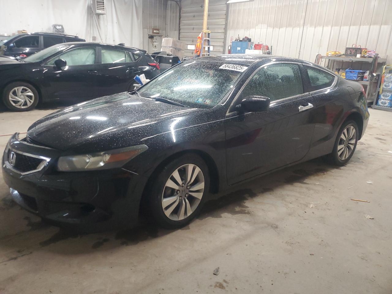 York Haven, PA에서 판매 중인 2009 Honda Accord Exl - Front End