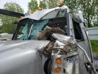 2019 Westen Star 4900 Semi Truck en Venta en Davison, MI - Rollover