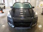 2014 Ford Escape Titanium продається в Avon, MN - Side