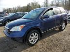 2007 HONDA CR-V EXL à vendre chez Copart ON - COOKSTOWN