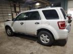 2009 Ford Escape Xlt de vânzare în Eldridge, IA - Front End