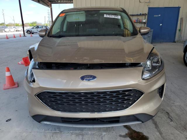  FORD ESCAPE 2021 Цвет загара