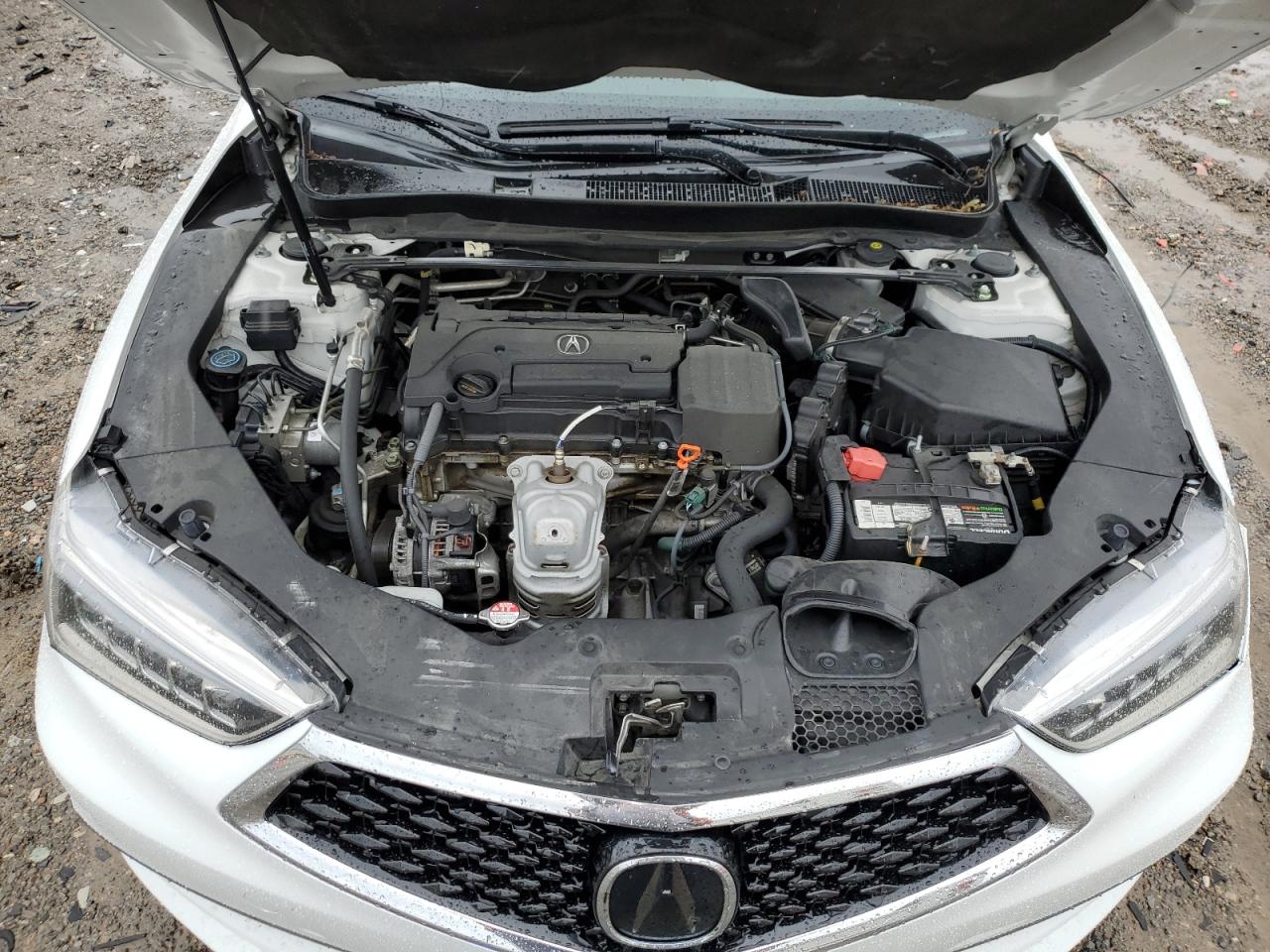 2020 Acura Tlx VIN: 19UUB1F36LA006002 Lot: 56640675