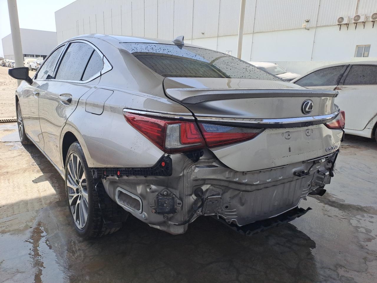 58ABZ1B15KU032663 - 2010 Lexus es 350 - #55187195