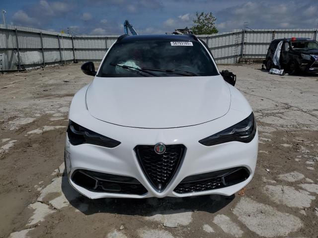  ALFA ROMEO STELVIO 2024 Белы