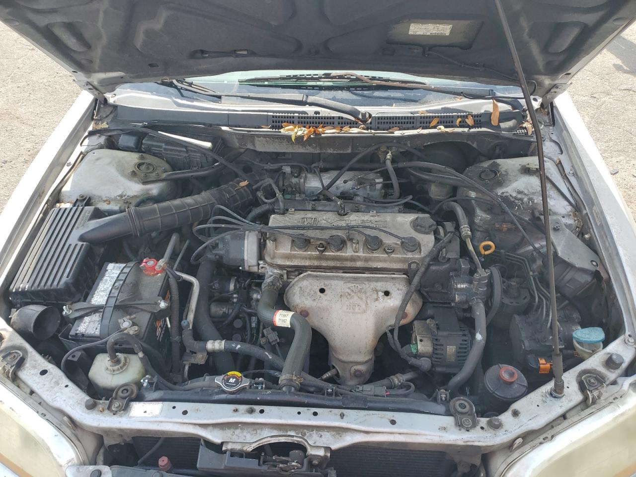 1998 Honda Accord Ex VIN: 1HGCG3250WA017338 Lot: 55469875