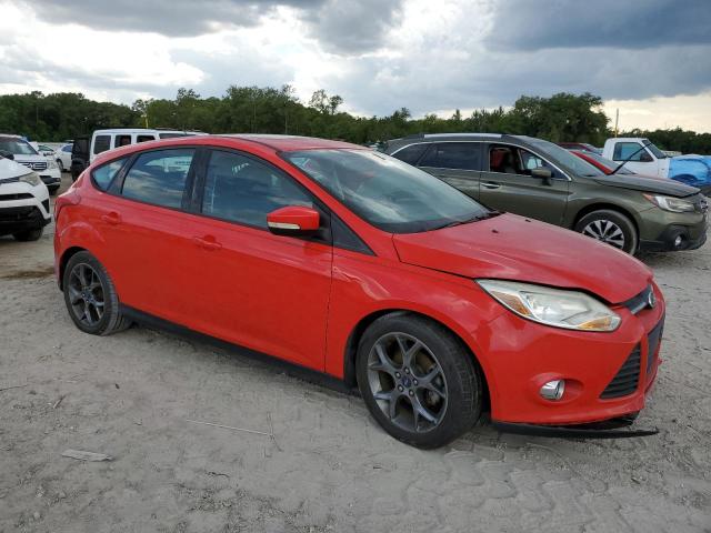Hatchbacks FORD FOCUS 2014 Czerwony