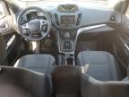 2014 Ford Escape Se for Sale in Albuquerque, NM - Front End