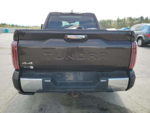  TOYOTA TUNDRA 2022 Brown