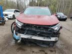 2019 HONDA CR-V TOURING   à vendre chez Copart ON - COOKSTOWN