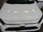 2021 Toyota Rav4 Xle for Sale in Angola, NY - Side