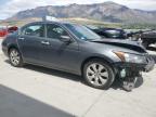 2008 Honda Accord Exl продається в Farr West, UT - Front End