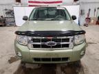 2008 Ford Escape Xlt للبيع في Milwaukee، WI - Front End